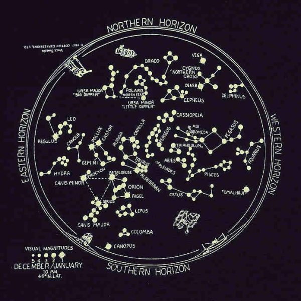 Winter Star Chart Adult Tee