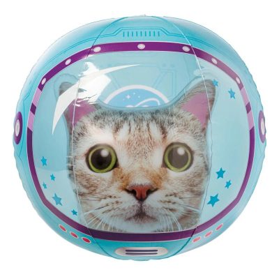 Beach Ball Space Cat