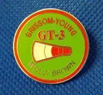 Gemini 3 Pin
