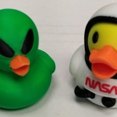 3D Printed Duck