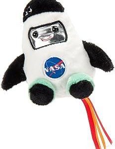 Space Shuttle Nuggetz