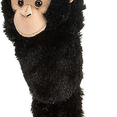 Chimpanzee Hanging